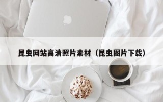 南充昆虫网站高清照片素材（昆虫图片下载）